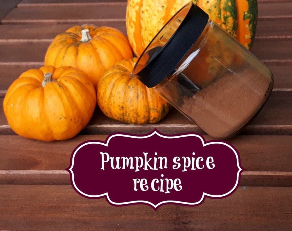 halloween-pumpkin-spice-opskrift