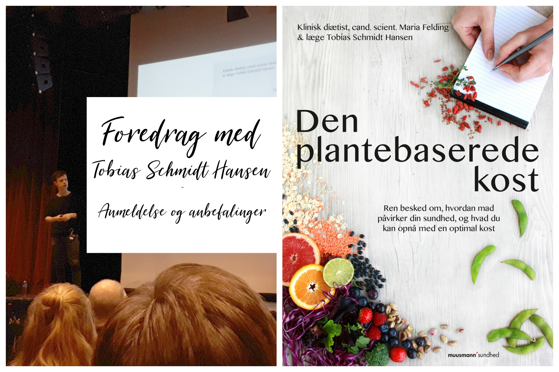 den-plantebaserede-kost-foredrag-med-tobias-schmidt-hansen