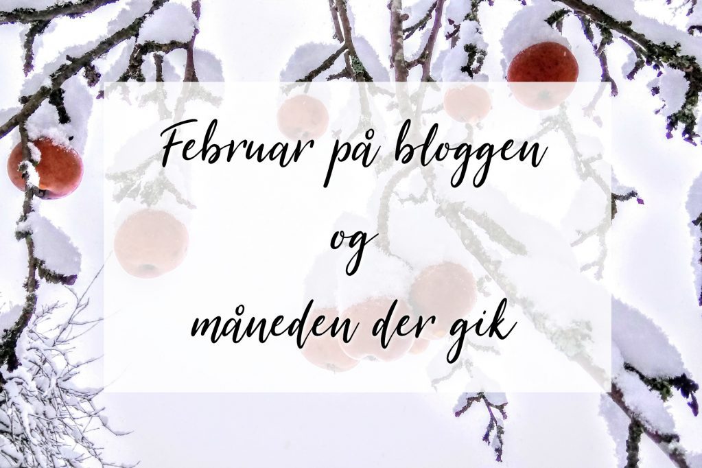 februar-maaned-paa-bloggen-lidt-maaneden-gik