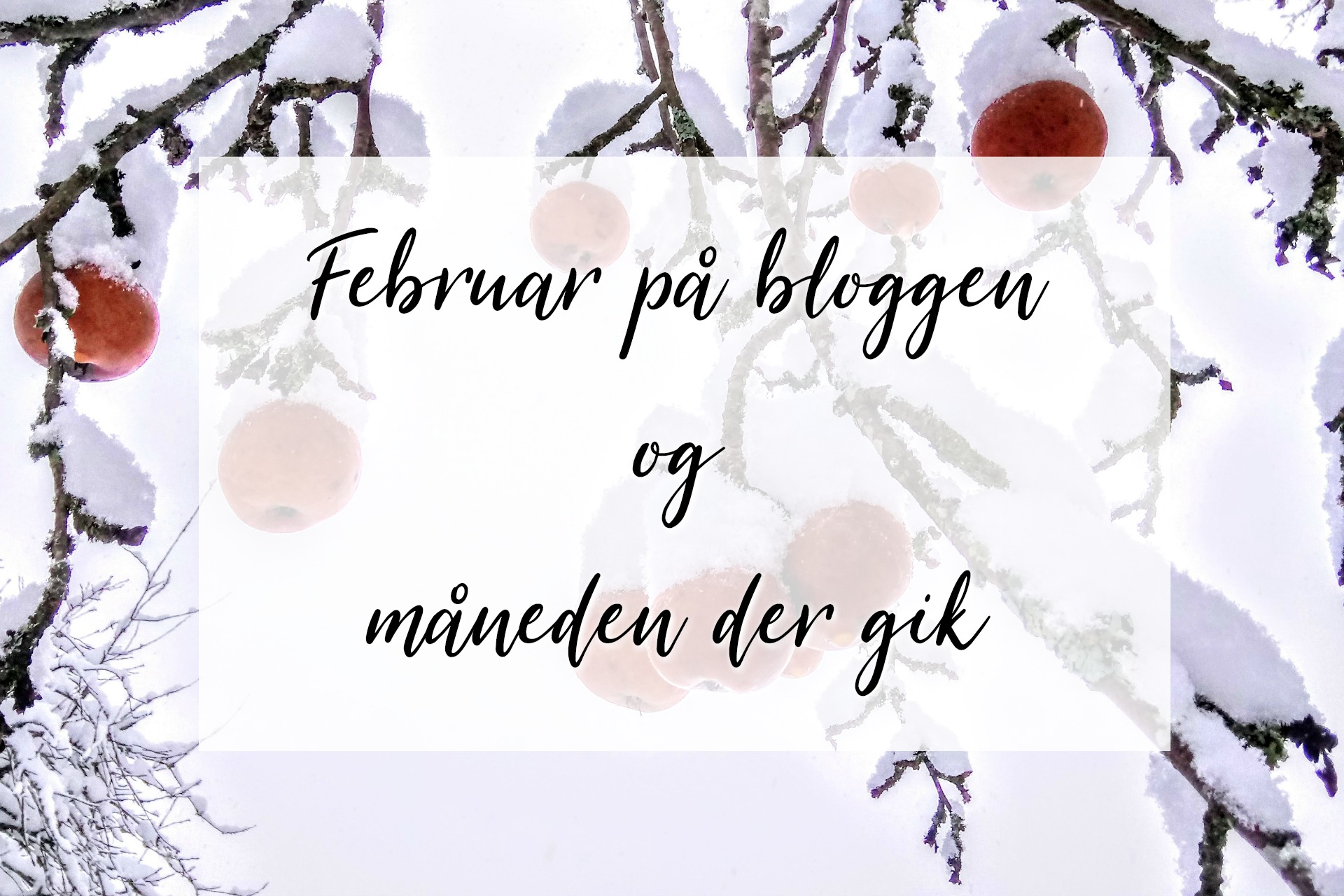 februar-maaned-paa-bloggen-lidt-maaneden-gik