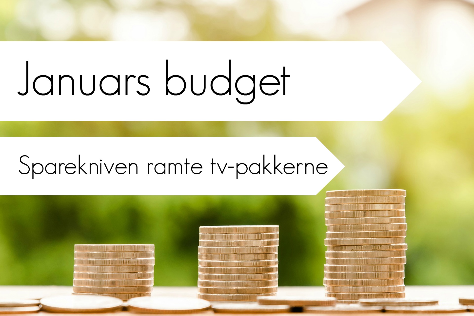 januars-budget-her-sparede-vi-penge