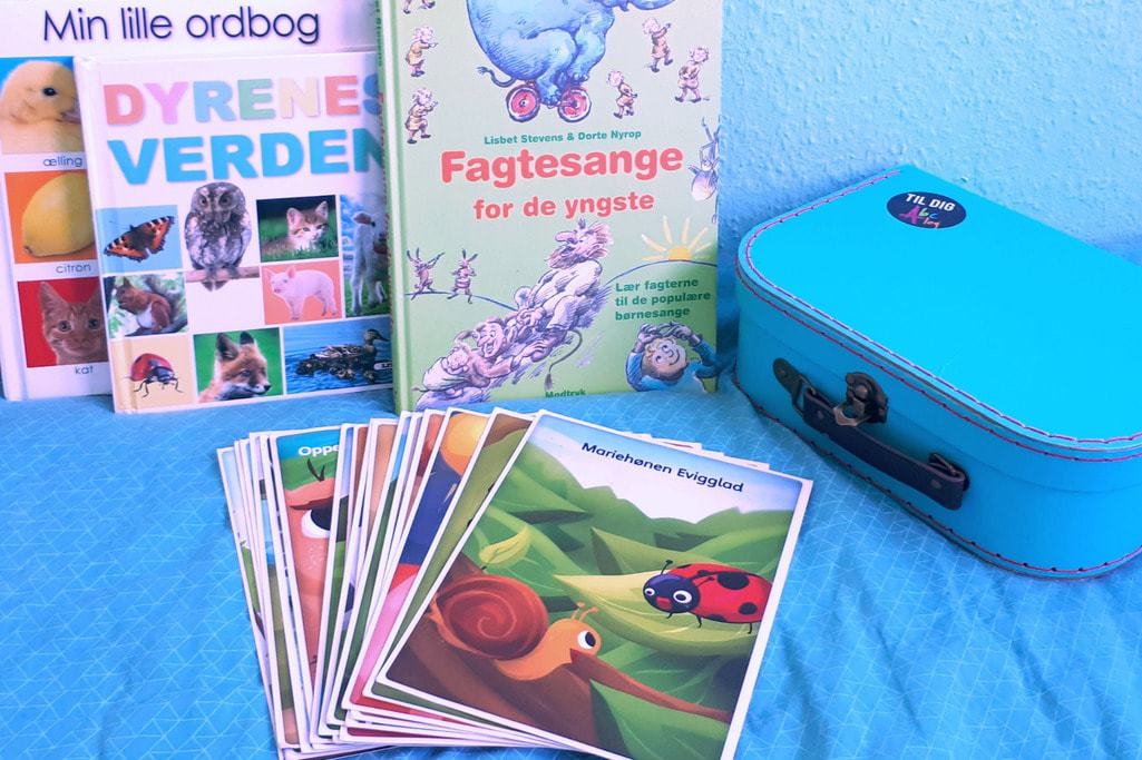 guide-til-sproglig-udvikling